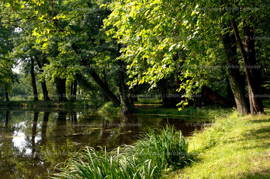 100494-4272 - Schlosspark Krumke | Stockfoto und Bilderpool mit Bildmaterial aus Deutschland, dem Harz, Halberstadt, Quedlinburg, Wernigerode und weltweit. Qualitativ hochwertige und professionelle Fotos anschauen und kaufen. - Realisiert mit Pictrs.com