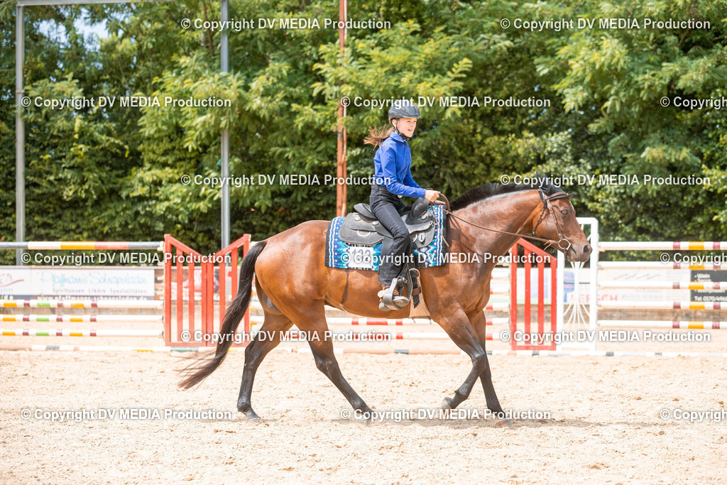 EWP_6589 | dv-media-shop - Realisiert mit Pictrs.com