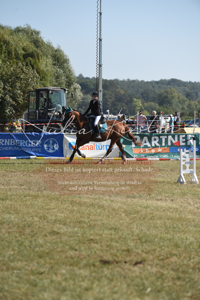 DSC_6052 | Pferde- und Turnierfotografie in Westsachsen. Pferdeportraits, Auftragszeichnungen und intuitive Kunst.
