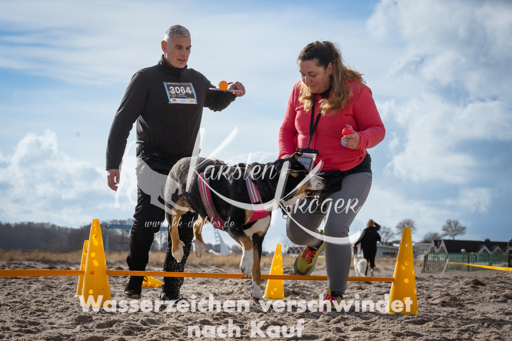 1316_ZZ91098 | kk-dogfotos