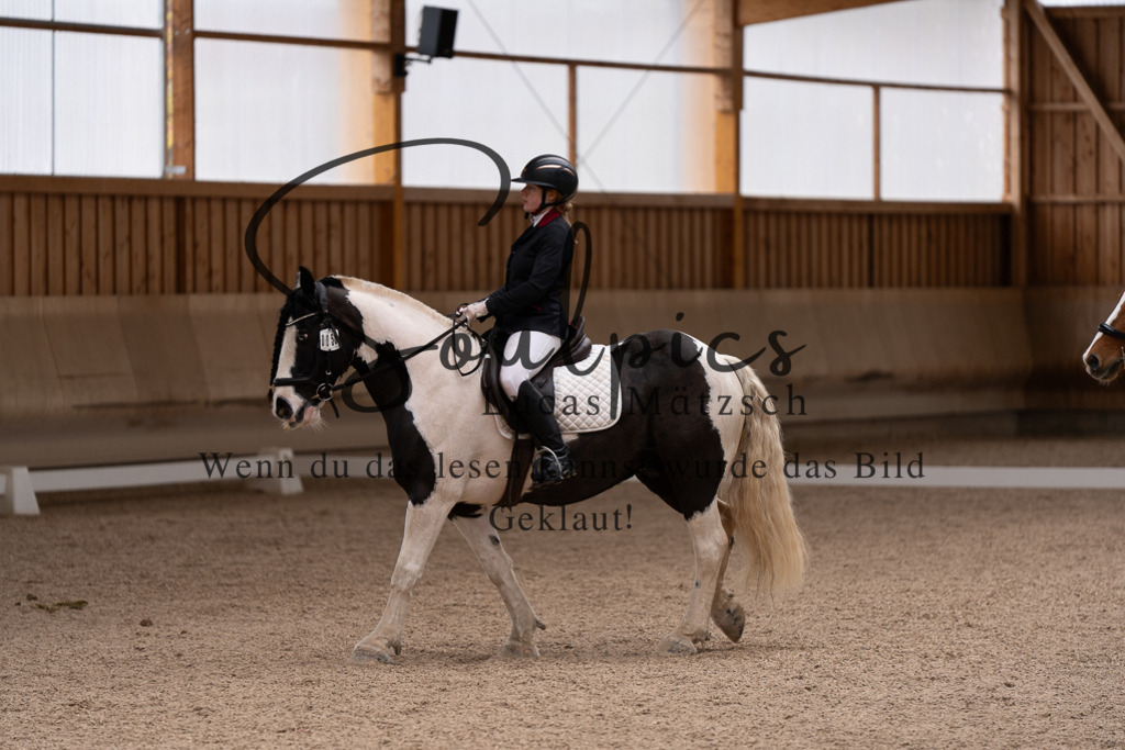 A7507143 | Pferdefotograf