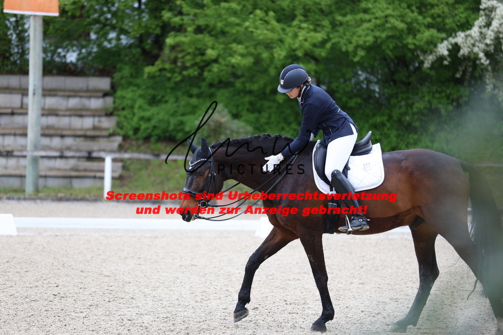 A40A0800 | lmwpictures - Realisiert mit Pictrs.com