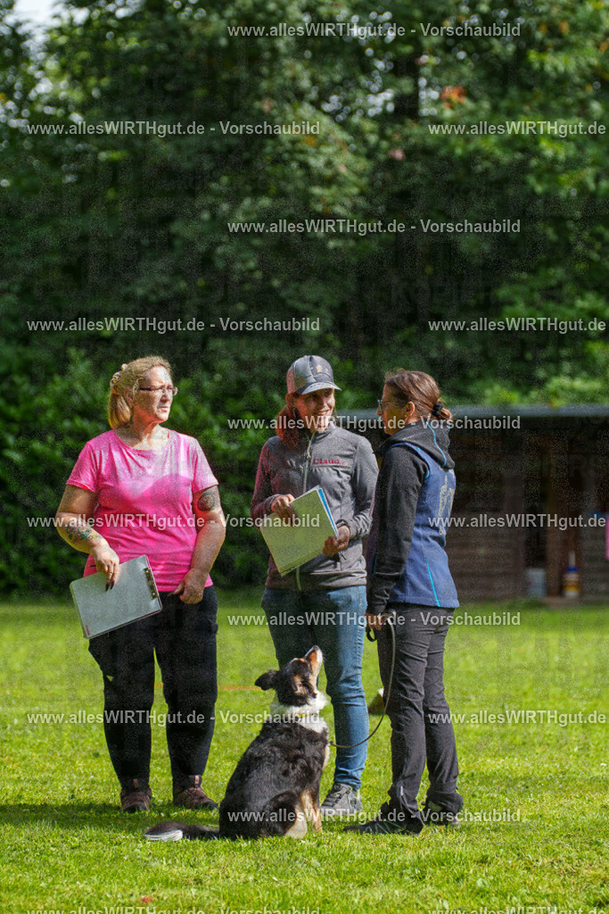 @allesWIRTHgut_Tierfotografie - www.allesWIRTHgut.de - 7R502392 | Professionelle Tierfotografie in Mönchengladbach von Daniel Wirth (allesWIRTHgut). Liebevolle & natürliche Bilder von Hunden & Katzen für unvergessliche Erinnerungen.