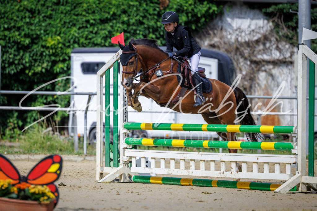20260705-_3LI3940 | Tierfotografie Pferde, Hunde, Katzen, Haustiere.
Turnierfotografie Reitturniere, Reiten, Springreiten, Dressur in Hanau, dem Main-Kinzig-Kreis und dem Rhein-Main- Gebiet um Frankfurt