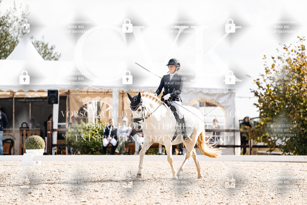 CK901525 | Turnierfotografie Pferdefotografie Trier Rheinland-Pfalz Pferdesport Reitsport Tierfotografie Sportfotografie Pferdevideo Pferdevideografie Equestrianvideography equestrianphotography  - Realisiert mit Pictrs.com