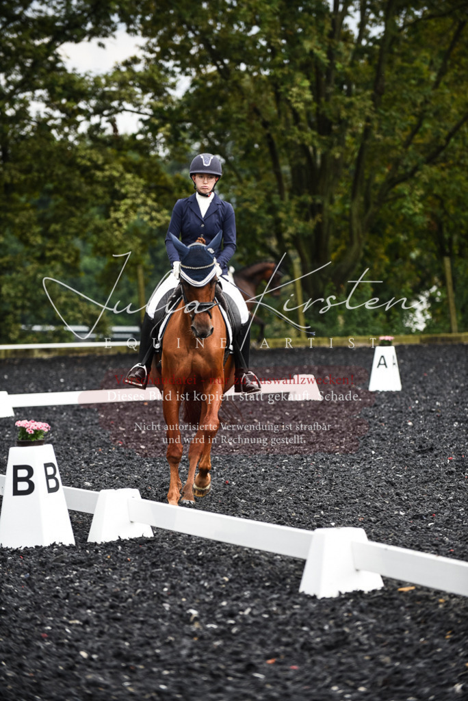 DSC_2924 | Pferde- und Turnierfotografie in Westsachsen. Pferdeportraits, Auftragszeichnungen und intuitive Kunst.
