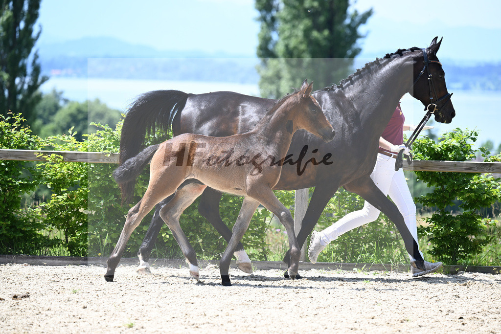 Bon Esprit x Fidertanz_HF_Bosch_19240516 | hf-fotografie - Realisiert mit Pictrs.com
