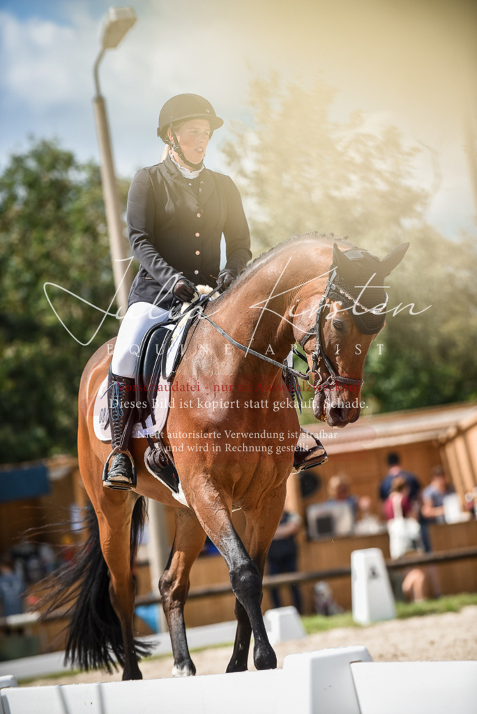DSC_9028 | Pferde- und Turnierfotografie in Westsachsen. Pferdeportraits, Auftragszeichnungen und intuitive Kunst.