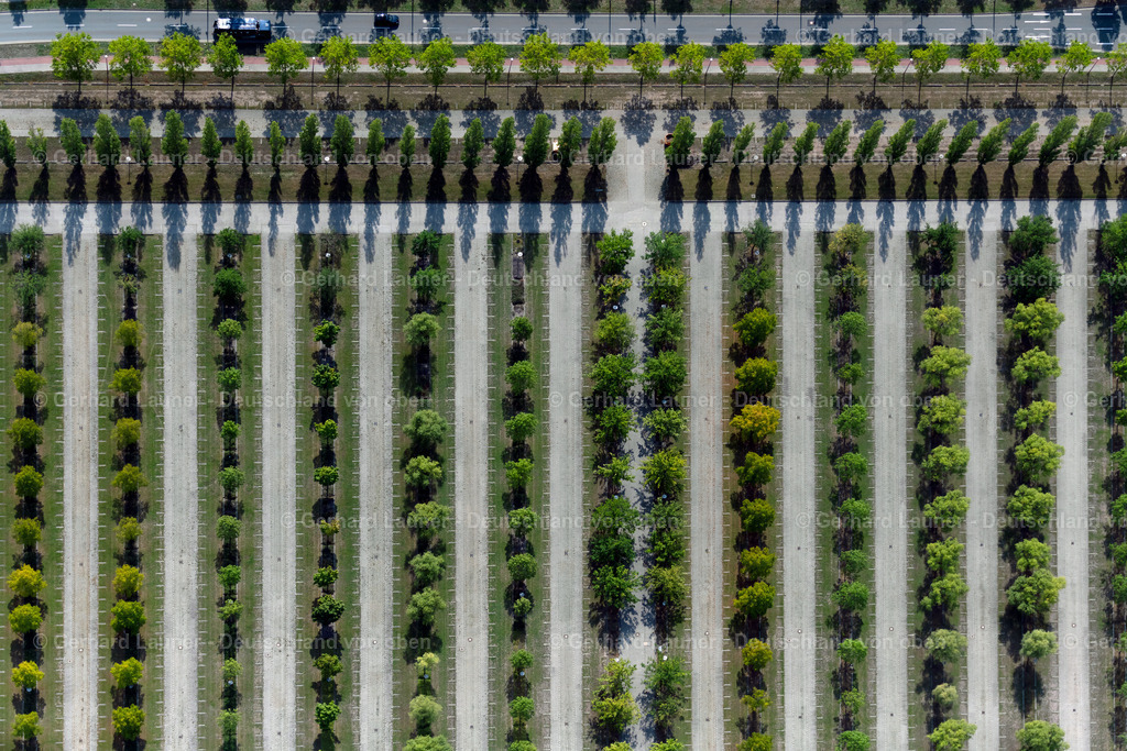 4039925 | LEIPZIG 14.09.2020 Baumreihen am Parkplatz und Abstellfläche für Automobile - PKW auf dem Gelände der Leipziger Messe in Leipzig im Bundesland Sachsen, Deutschland. Weiterführende Informationen bei: LMI - Leipziger Messe International GmbH,  gmp International GmbH. // Parking and storage space for automobiles on the fairgrounds of Leipziger Messe in Leipzig in the state Saxony, Germany. Further information at: LMI - Leipziger Messe International GmbH,  gmp International GmbH. Foto: Gerhard Launer