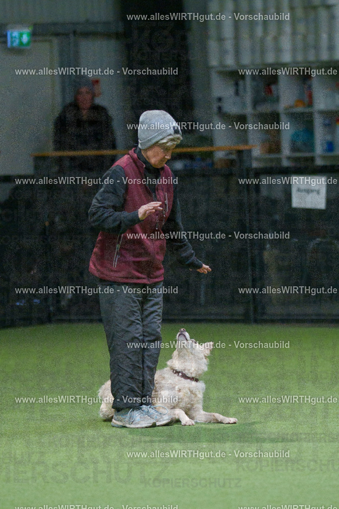 7R508031 | Professionelle Tierfotografie in Mönchengladbach von Daniel Wirth (allesWIRTHgut). Liebevolle & natürliche Bilder von Hunden & Katzen für unvergessliche Erinnerungen.