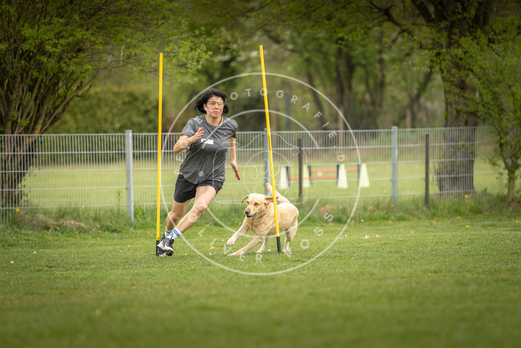 Pfotenfotografie_DV3A9565 | Hundefotografie, Tierfotograf, Pfotenfotografie, Fotoshooting Hund, Hunde Portrait, Hundesport, Hundeportraits, Heideshooting, Hunde, Sportfotograf, Hundefotograf, Turnierhundsport, THS,  - Realisiert mit Pictrs.com