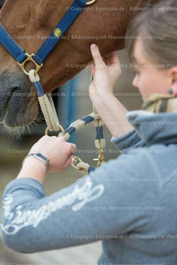 20180516_Vitalfunktionen_Pferd_0004 | equistock