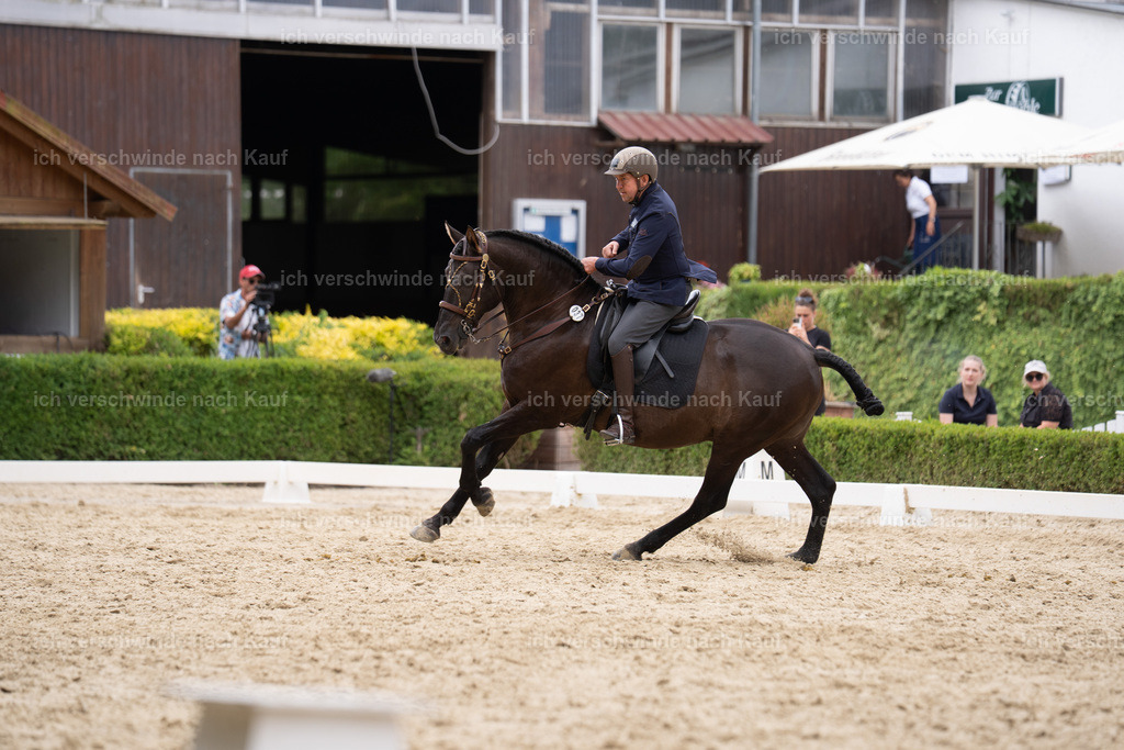 WS_DR_37_sinafilmart_IN01976 | working equitationturnier fotograf videograf stoibphotography marixx film working equitation deutschland reitsport turnierfotografie eventfotografie equestrian events