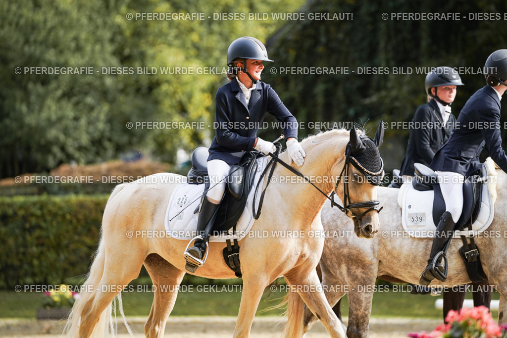 DSC05025 | Pferdegrafie