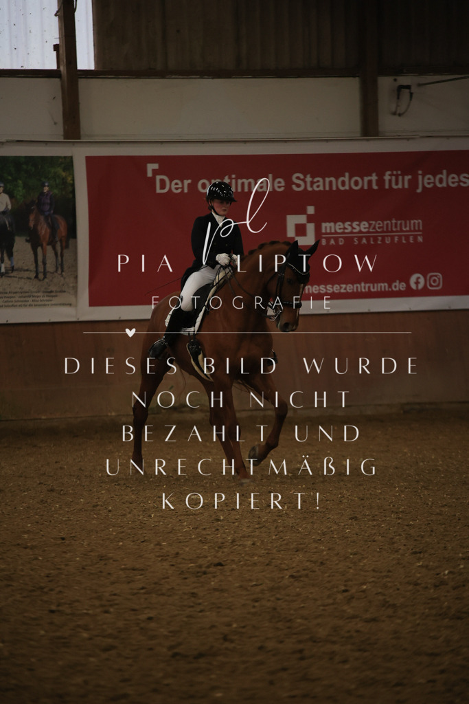 IMGT6360 | pl-fotografie