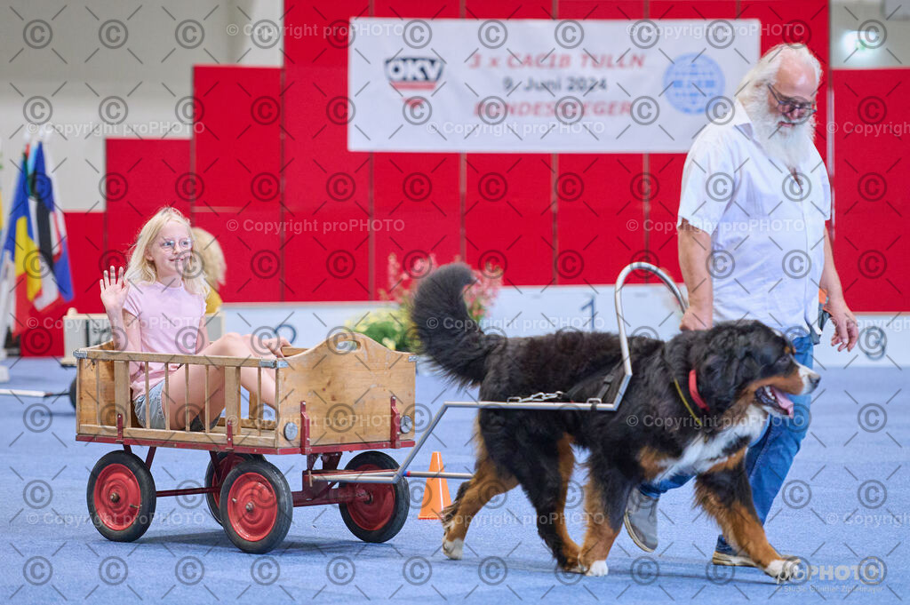 202406_ÖKV-IHA-Tulln24_DSC_4665 | proPHOTO - Realisiert mit Pictrs.com