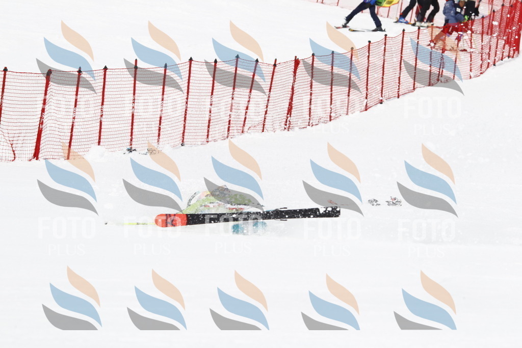 _U3G7026 | holidayphoto