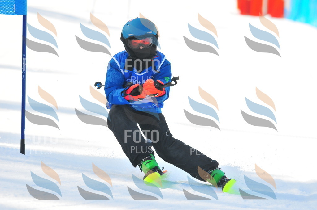 B8775 | holidayphoto