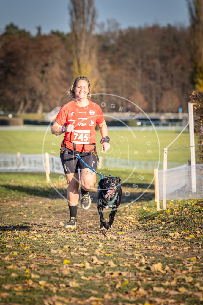 CaniXpix_DV3A2331 | Hundefotografie, Tierfotograf, Pfotenfotografie, Fotoshooting Hund, Hunde Portrait, Hundesport, Hundeportraits, Heideshooting, Hunde, Sportfotograf, Hundefotograf, Turnierhundsport, THS,  - Realisiert mit Pictrs.com