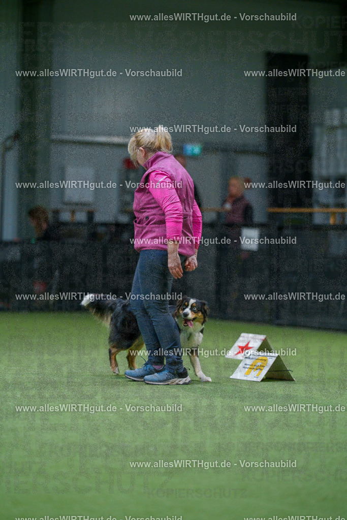 7R505922 | Professionelle Tierfotografie in Mönchengladbach von Daniel Wirth (allesWIRTHgut). Liebevolle & natürliche Bilder von Hunden & Katzen für unvergessliche Erinnerungen.