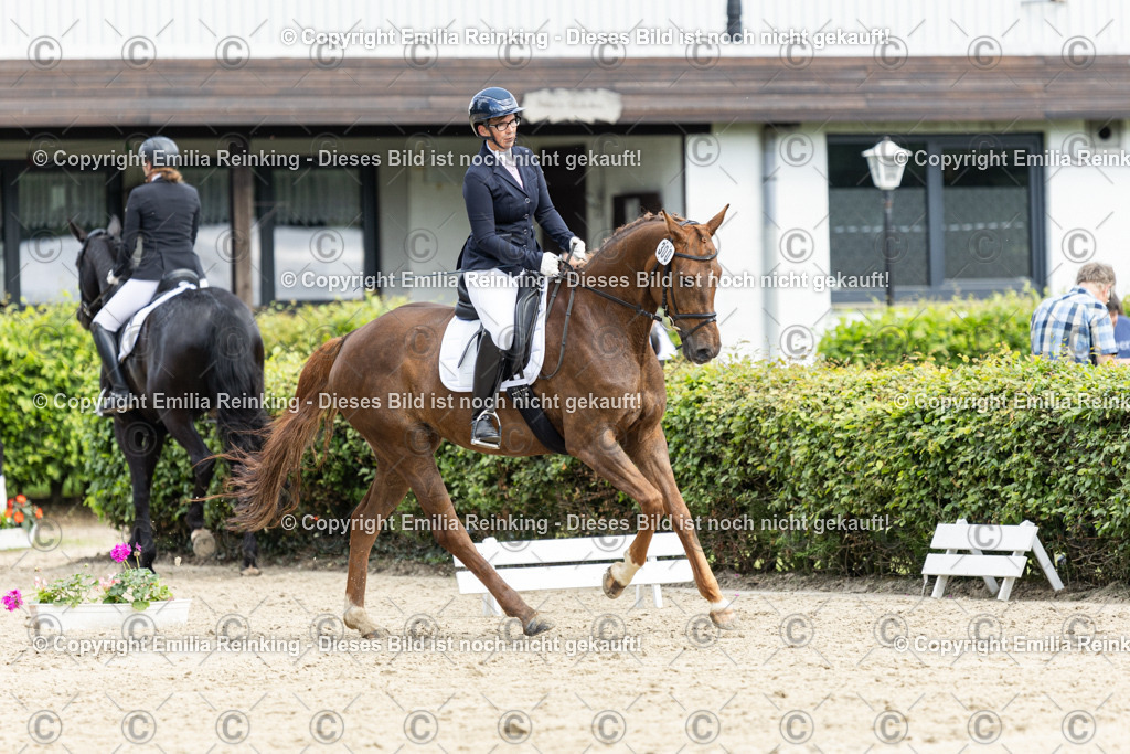 CL5A5004-2 | Emilia Reinking Fotografie - Realisiert mit Pictrs.com