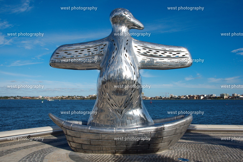 Perth Penguin - AUS 2016 | west photography - Realisiert mit Pictrs.com