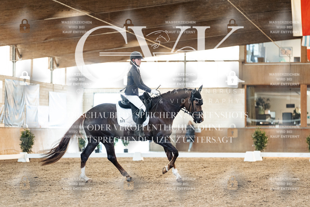 CK906859 | Turnierfotografie Pferdefotografie Trier Rheinland-Pfalz Pferdesport Reitsport Tierfotografie Sportfotografie Pferdevideo Pferdevideografie Equestrianvideography equestrianphotography  - Realisiert mit Pictrs.com