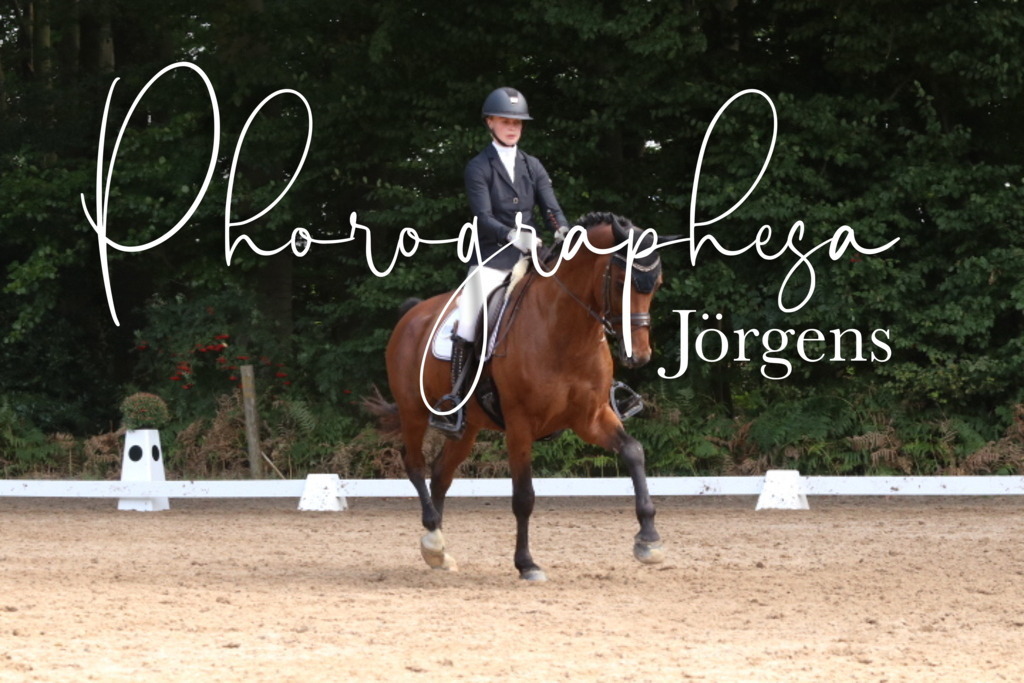 IMG_0425 | photographesa-joergens - Realisiert mit Pictrs.com