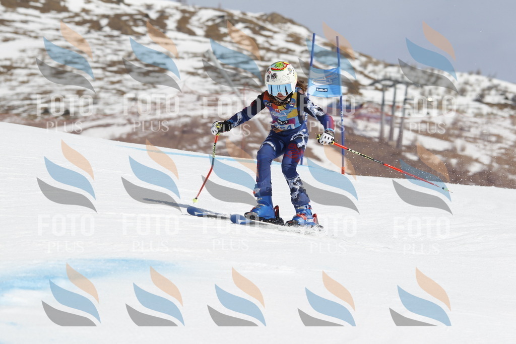 _U3G1418 | holidayphoto