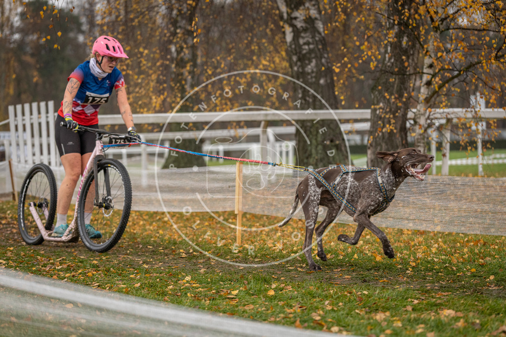 CaniXpix_DV3A8621 | Hundefotografie, Tierfotograf, Pfotenfotografie, Fotoshooting Hund, Hunde Portrait, Hundesport, Hundeportraits, Heideshooting, Hunde, Sportfotograf, Hundefotograf, Turnierhundsport, THS,  - Realisiert mit Pictrs.com