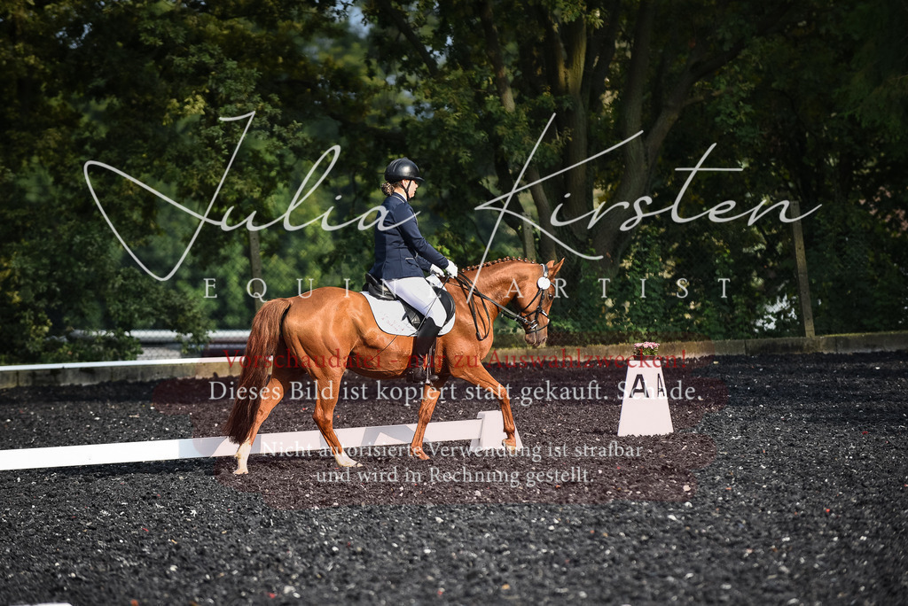 DSC_3449 | Pferde- und Turnierfotografie in Westsachsen. Pferdeportraits, Auftragszeichnungen und intuitive Kunst.