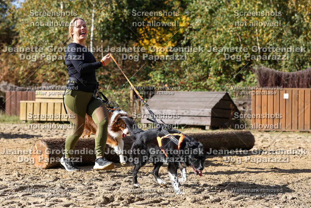 Dog Paparazzi - Strongdog 10-25-4888 | Dog Paparazzi Jeanette Grottendiek Fotografie & Videografie - Realisiert mit Pictrs.com