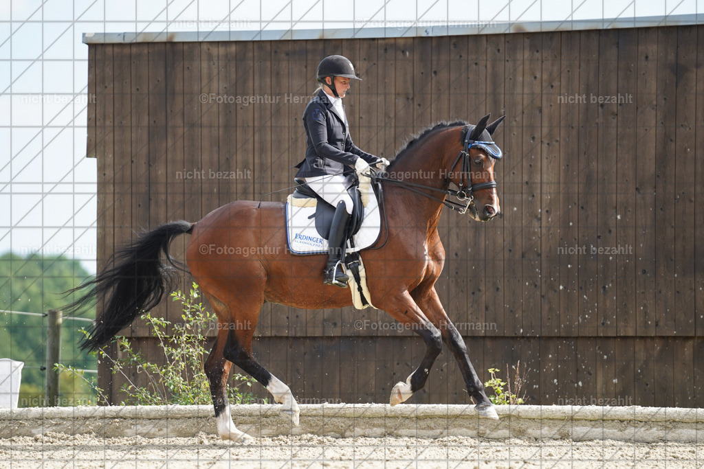 20230826-FAH06129 | Forstinning, 2023, Dressurturnier, Turniersportbilder, Turnierfotografen Bayern, Fotoagentur Herrmann, Reitsportfotografie, Turnierbilder