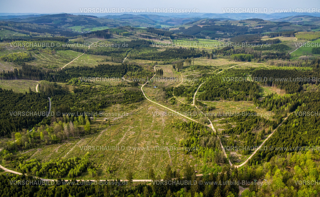 Kreuztal240502461Grubenfeld-Littfeld-Kindelsberg | Luftbild, Waldgebiet mit Waldschäden, Grubenfeld Grubengelände Littfeld Kindelsberg, Fernsicht Hügel und Täler, Müsen, Hilchenbach, Nordrhein-Westfalen, Deutschland