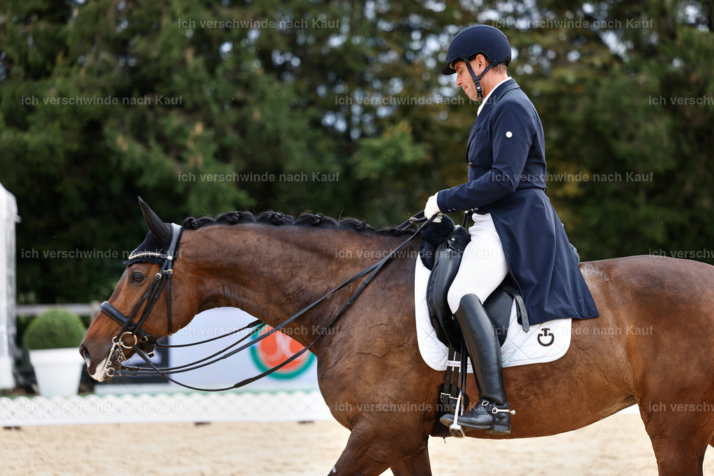 11-226-Dressur S___-StoibPH-1038 | working equitationturnier fotograf videograf stoibphotography marixx film working equitation deutschland reitsport turnierfotografie eventfotografie equestrian events