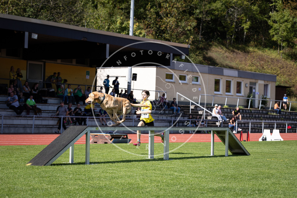 Pfotenfotografie_DV3A8530 | Hundefotografie, Tierfotograf, Pfotenfotografie, Fotoshooting Hund, Hunde Portrait, Hundesport, Hundeportraits, Heideshooting, Hunde, Sportfotograf, Hundefotograf, Turnierhundsport, THS,  - Realisiert mit Pictrs.com
