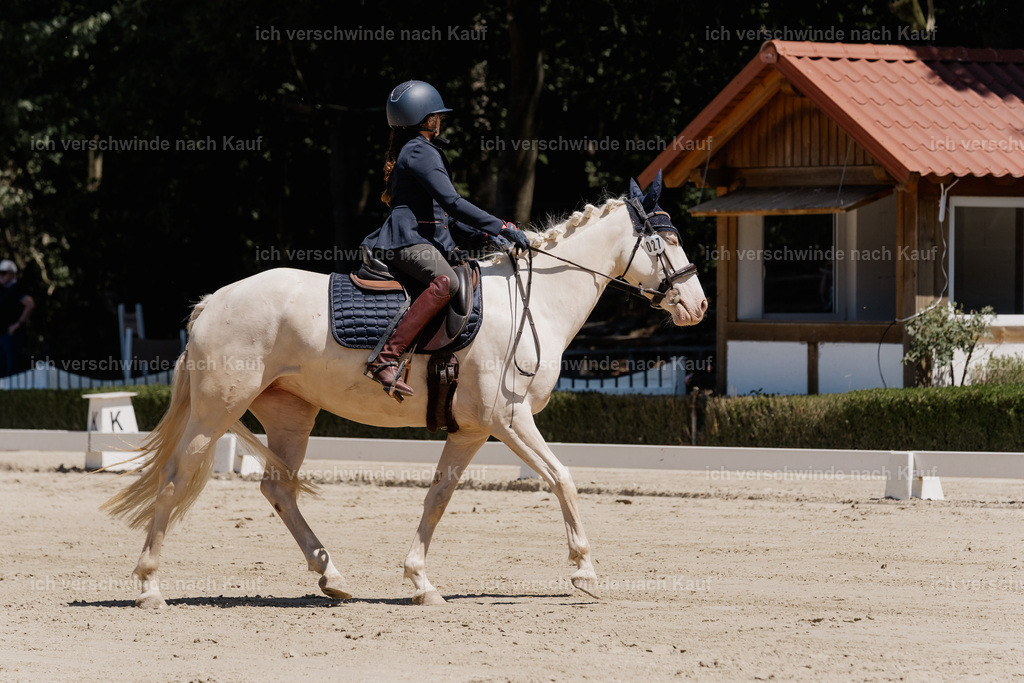 WE_DR_27_SinaFilmArt_IN03067 | working equitationturnier fotograf videograf stoibphotography marixx film working equitation deutschland reitsport turnierfotografie eventfotografie equestrian events
