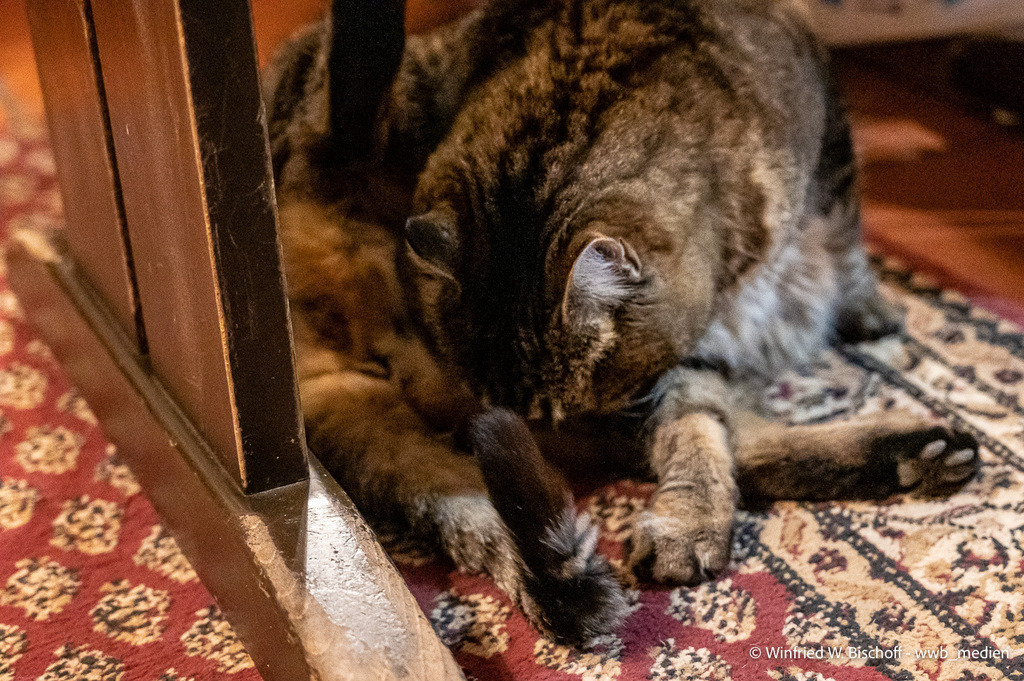 _DSC9091 | <Fotografie> <Video> <Film> <Winfried Bischoff> - Realisiert mit Pictrs.com