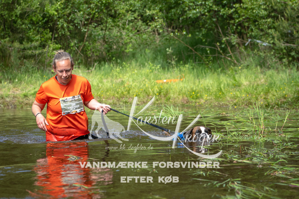 1228DKK992938 | kk-dogfotos