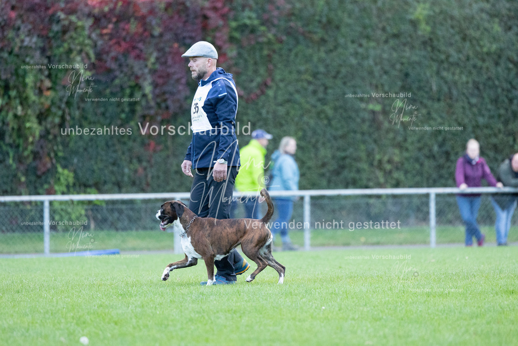 _16A4522 | Einzigartige Fotos von Hunden & Menschen –Actionfotos, Portraits, Vereinsaufnahmen & Paarshootings – authentisch, lebendig & mit Herz.