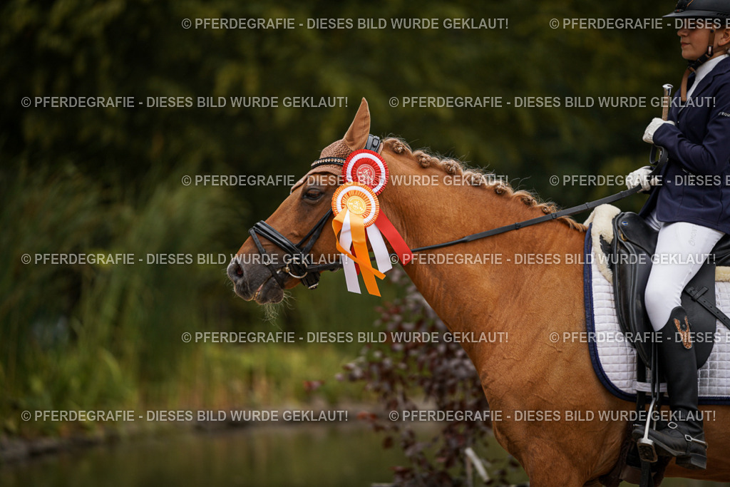 DSC06621 | Pferdegrafie