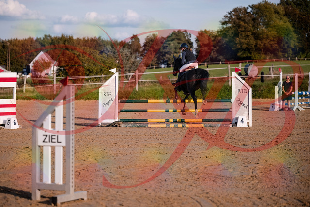 2026_10_03_Siefer-Hof_171540_Z81_13088447 | Professionelle Reitsport-, Turnier- und Eventfotografie von Robert Broda. Galerien mit ausgewählten und bearbeiteten Bildern direkt online ansehen und bestellen.