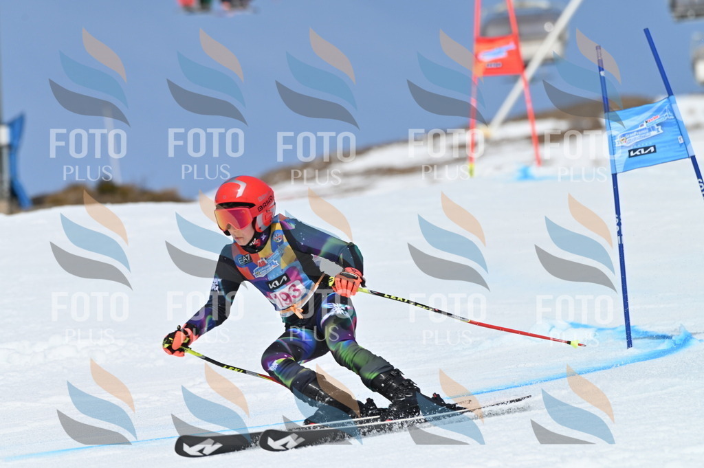 BGV_0874 | holidayphoto