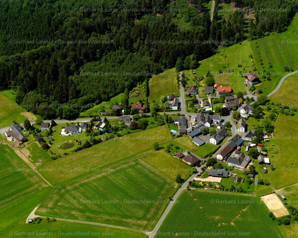 3105325 | Hahn, Orfgen