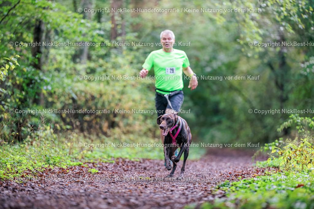 THS-HSV-Blumenthal-2026-Nickbest-Hundefotografie-0212 | Dein Hund! Dein Moment! Deine Erinnerungen! Hundefotografie in Bremen Blumenthal. Ich fange die besonderen Momente deines Vierbeiners ein – ob Indoor mit Blitzanlage oder in der freien Natur. Sicher dir dein Moment und dein Termin für eure Erinnerungen.