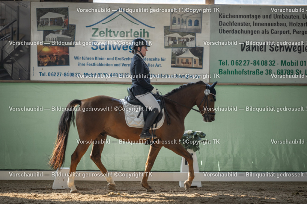 _D5A8429 | Emotionale Pferde- & People-Fotografie rund um Heidelberg, Leimen & Umgebung. Natürliche Fotos von Pferd, Mensch & Familie. Jetzt Termin sichern!