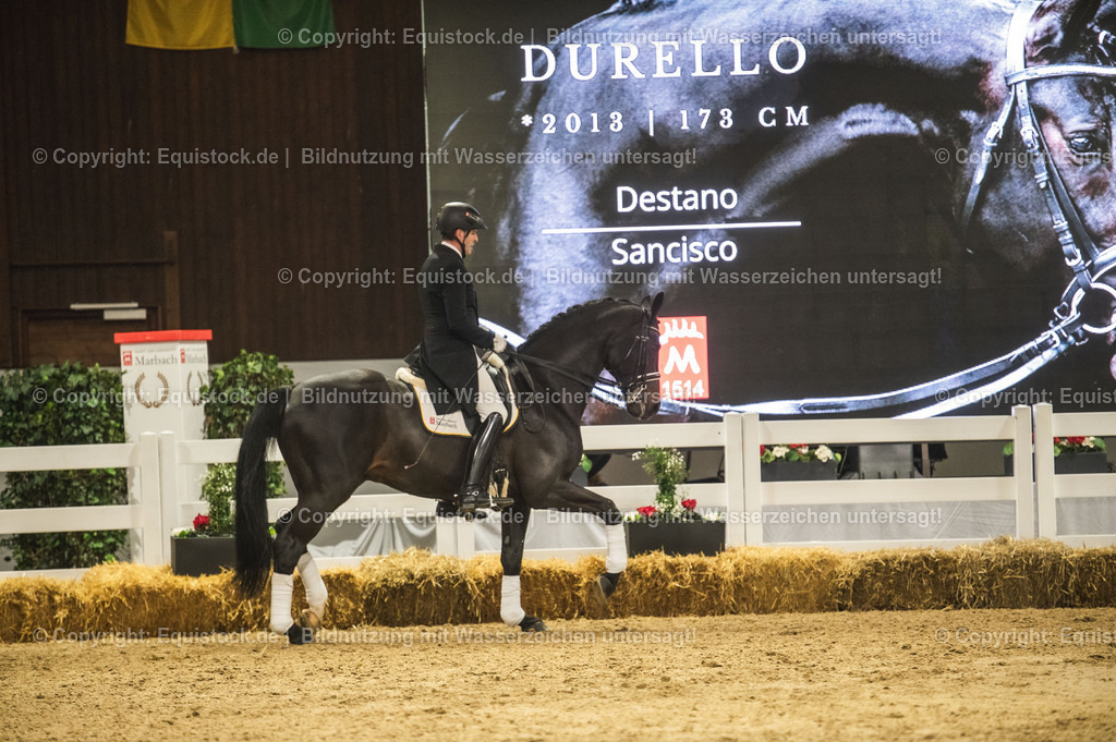 20240302_Hengstvorstellung_Marbach_TOMsPiC_1473 | equistock