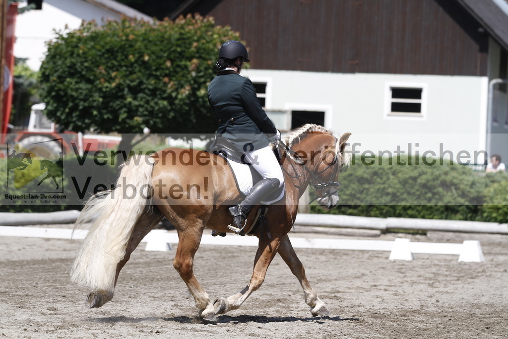 _MG_3988 | equestrian-live-com