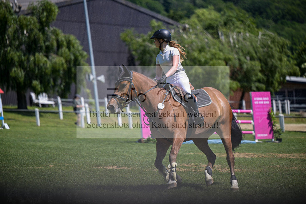 Reitturnier Voxtrup | Entdecke hochwertige Reitturnierfotos von Foto Oger. Professionell, emotional und authentisch – jetzt Lieblingsmomente im Shop bestellen. - Realisiert mit Pictrs.com