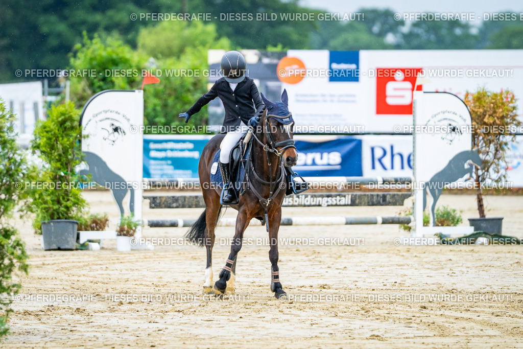 DSC01282 | Pferdegrafie